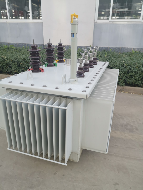 10KV油浸SH(B)15非晶合金變壓器 (3).jpg